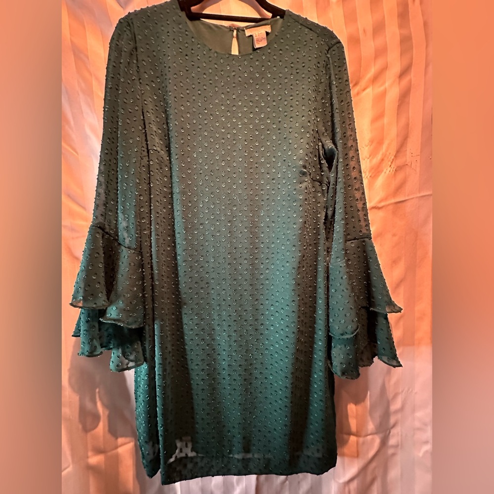 Pretty Green Embroidered H&M Dress